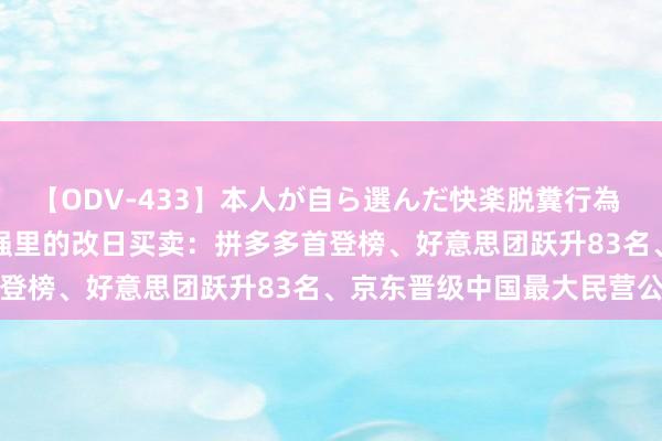 【ODV-433】本人が自ら選んだ快楽脱糞行為 1 神崎まゆみ 世界500强里的改日买卖：拼多多首登榜、好意思团跃升83名、京东晋级中国最大民营公司