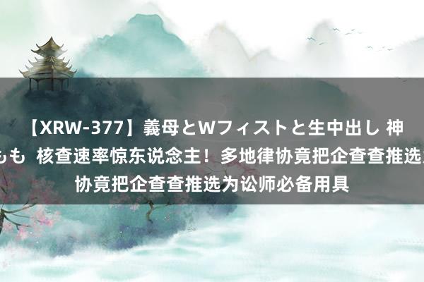 【XRW-377】義母とWフィストと生中出し 神崎まゆみ 桃宮もも  核查速率惊东说念主！多地律协竟把企查查推选为讼师必备用具