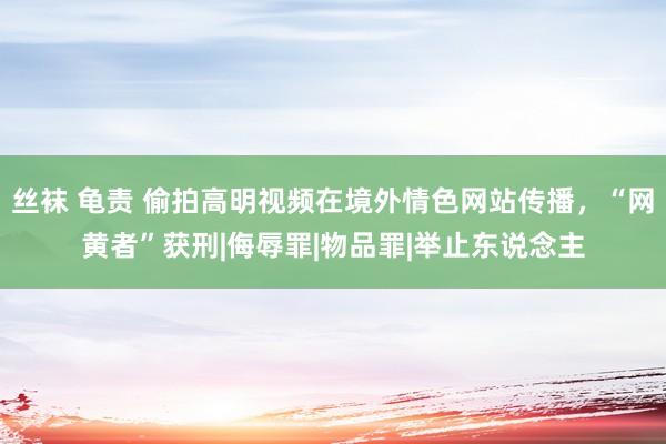 丝袜 龟责 偷拍高明视频在境外情色网站传播，“网黄者”获刑|侮辱罪|物品罪|举止东说念主