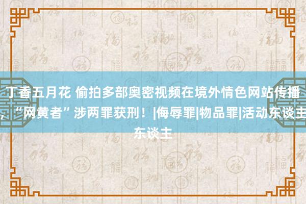 丁香五月花 偷拍多部奥密视频在境外情色网站传播，“网黄者”涉两罪获刑！|侮辱罪|物品罪|活动东谈主