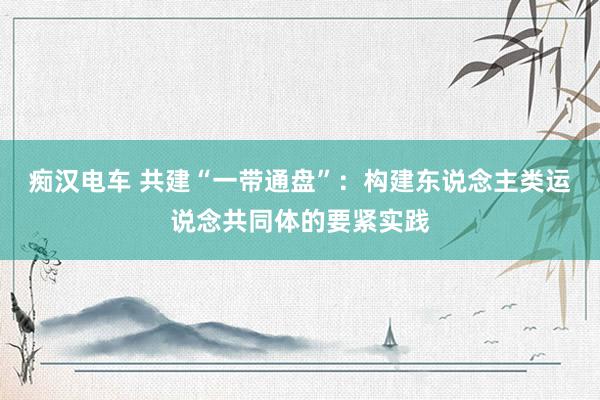 痴汉电车 共建“一带通盘”：构建东说念主类运说念共同体的要紧实践