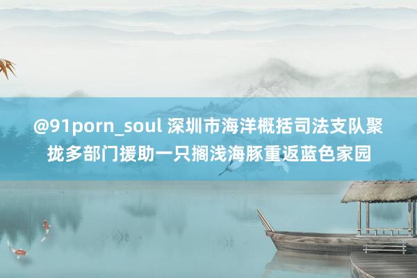 @91porn_soul 深圳市海洋概括司法支队聚拢多部门援助一只搁浅海豚重返蓝色家园