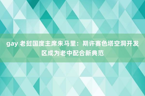 gay 老挝国度主席朱马里：期许赛色塔空洞开发区成为老中配合新典范