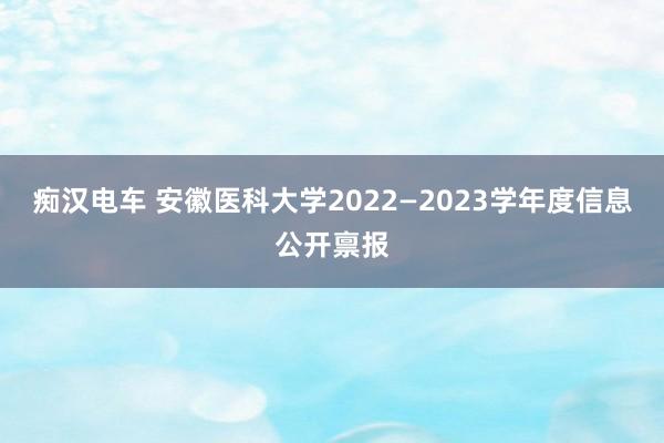 痴汉电车 安徽医科大学2022—2023学年度信息公开禀报