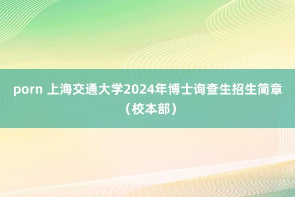 porn 上海交通大学2024年博士询查生招生简章（校本部）